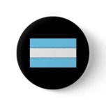 Argentine Flag T-shirts and Gifts Pinback Buttons