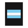 Argentine Flag T-shirts and Gifts Post Card