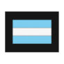 Argentine Flag T-shirts and Gifts Postcard