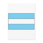 Argentine Flag T-shirts and Gifts Postcard