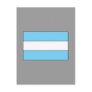 Argentine Flag T-shirts and Gifts Postcard