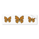 Argus Butterfly Bumper Stickers
