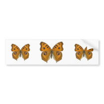 Argus Butterfly