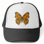 Argus Butterfly Mesh Hats