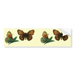 Argynnis aglaja