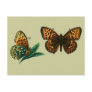 Argynnis aglaja post card