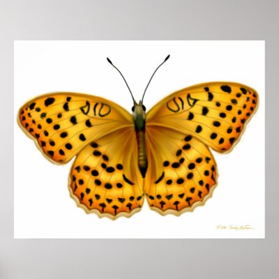 Argynnis Butterfly Print by twopurringcats