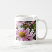 Argyranthemum frutescens Marguerite Daisies Coffee Mugs