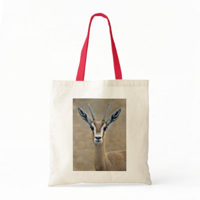 Ariel Bag by Marmotta