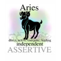 Aries About You Tshirts