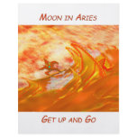Aries Adventure flyers