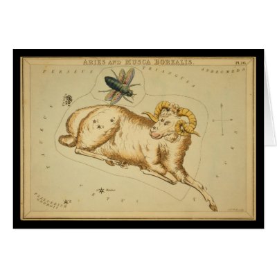 Aries and Musca Borealis by ZephyrusBooks