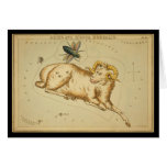Aries and Musca Borealis cards