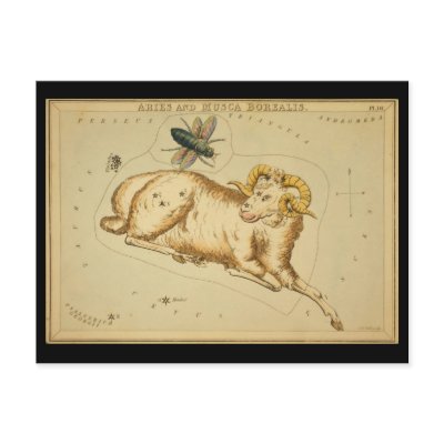 Aries and Musca Borealis by ZephyrusBooks