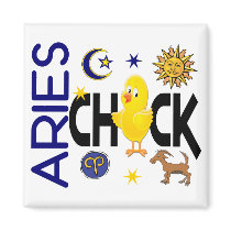 Aries Chick 1