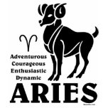 Aries Light Shirts