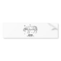 Aries (March 21st - April 19th) bumper stickers