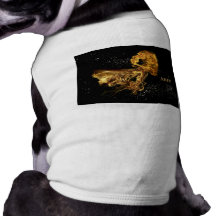 Aries Pet T Shirt