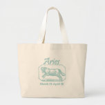Aries Teal Bags