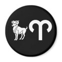 Aries with Symbol magnets