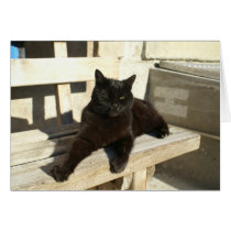 aristocat cards