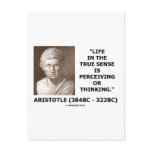 Aristotle Life True Sense Perceiving Or Thinking Post Card