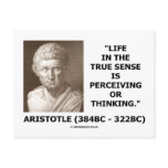 Aristotle Life True Sense Perceiving Or Thinking Postcard