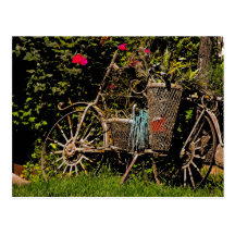Arizona Antique Post Card