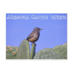 Arizona Cactus Wren Post Cards