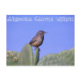 Arizona Cactus Wren Post Cards