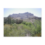 Arizona Desert Postcards