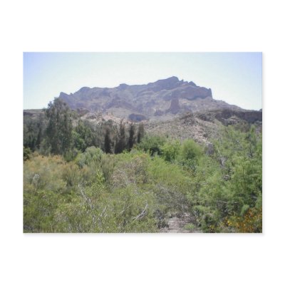 Arizona Desert Postcards by mikek92349