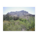 Arizona Desert postcards