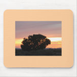 Arizona Desert Sunset Tree Silhouette Mousepad