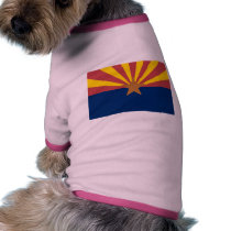 Arizona FLAG International