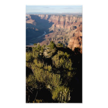 Arizona Grand Canyon National Park (43).JPG Art Photo