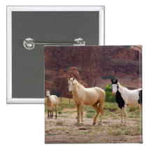 Arizona, Navajo Indian Reservation, Chinle, Pinback Buttons