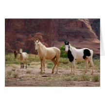 Arizona, Navajo Indian Reservation, Chinle, Greeting Card