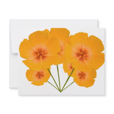 Arizona Poppy bouquet by Harpalus22