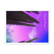arizona postcard- botantical gardens