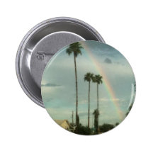 Arizona Rainbow Pin