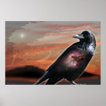 Arizona Raven
