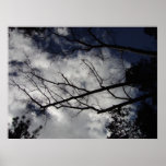 Arizona Sky Posters
