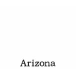 Arizona State Flag