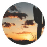 Arizona Sunet Picture Round Sticker