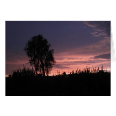 Arizona Sunset Greeting Cards by Lessandra