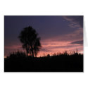 Arizona Sunset cards