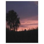 Arizona Sunset Personalized Flyer