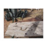 Arizona Variable Sandsnake Postcard