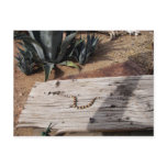Arizona Variable Sandsnake postcards